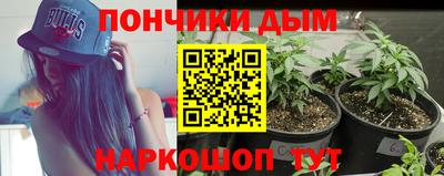 PSILOCYBIN Бугуруслан